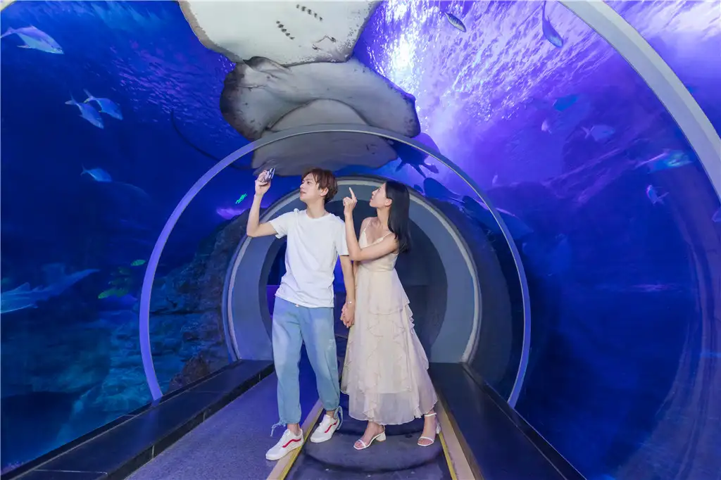 A couple walking the undersea tunnel as fish pass overhead