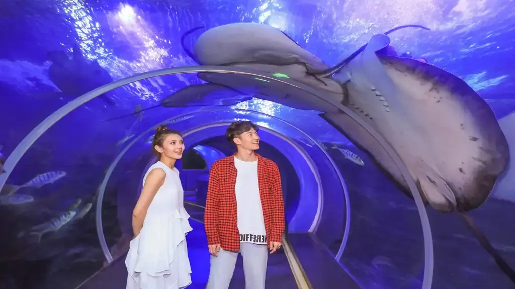 Qingdao Underwater World Itineraries: Half-Day to Full Shorefront Day