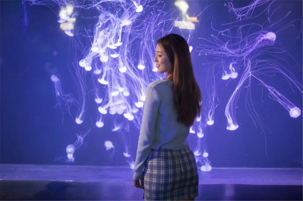 A visitor watching purple jellyfish in the dark gallery