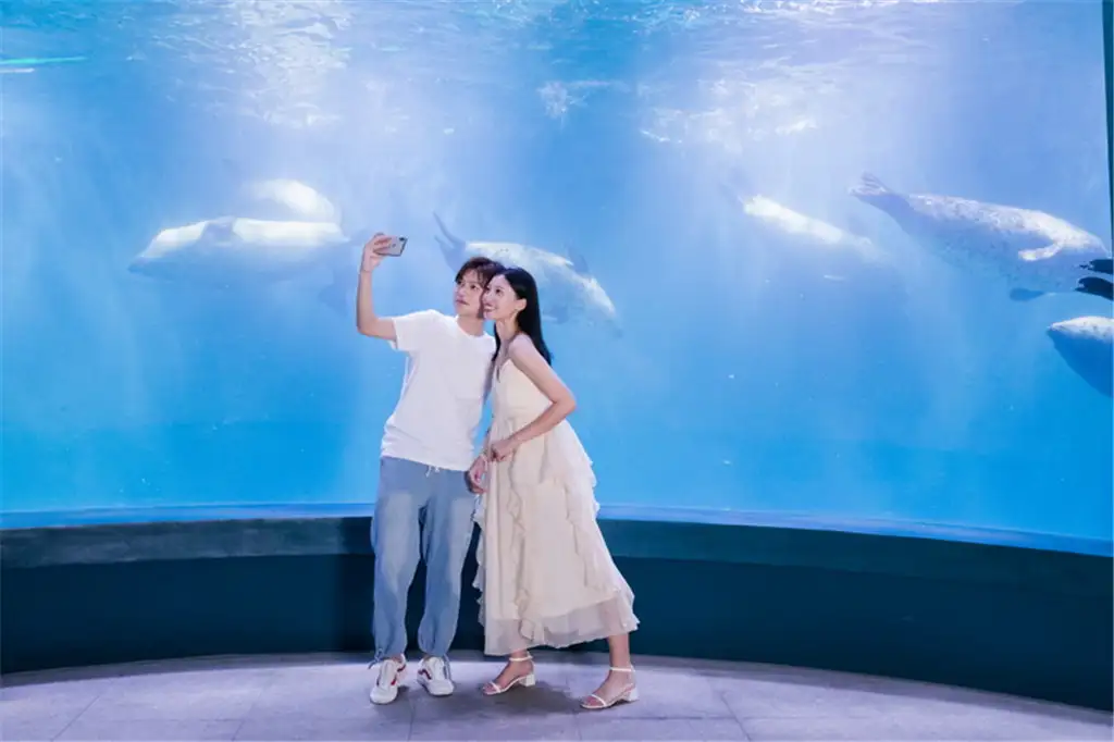 A couple waving at beluga whales through the main tank