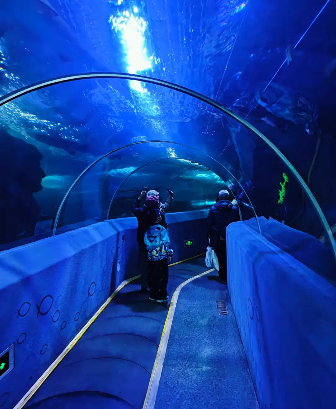 Visitors walking down the curved undersea tunnel
