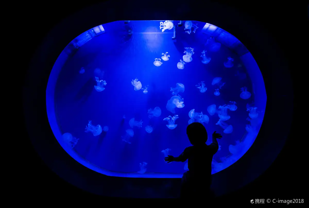 A child gazing at the glowing jellyfish orb in the dark