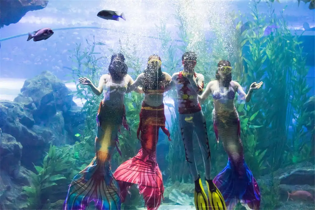 The mermaid cast posing at the Ocean Theater glass