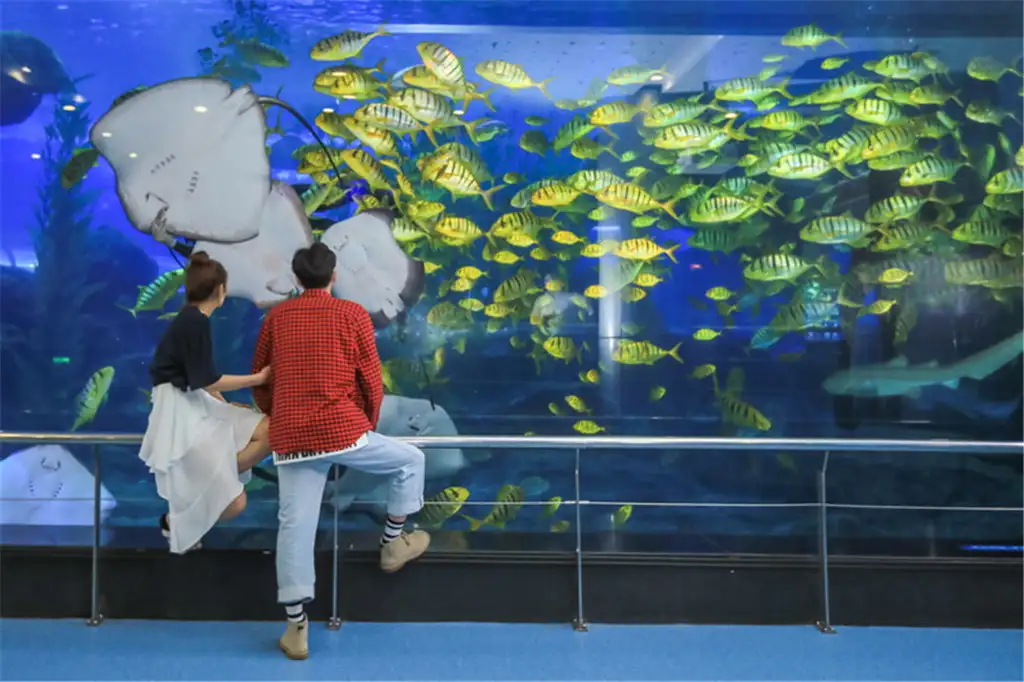 A couple watching golden shoals from the viewing rail