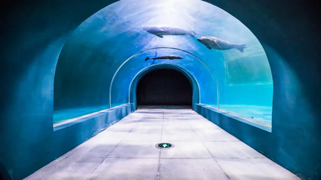The empty curved undersea tunnel glowing aqua
